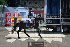 ref. photo 3599197