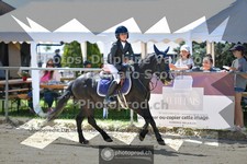 ref. photo 3599199