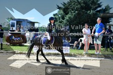 ref. photo 3599200