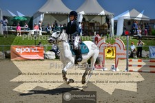ref. photo 3599204