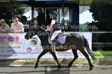 ref. photo 3599222