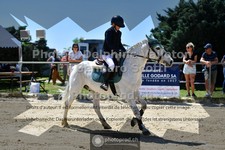 ref. photo 3599268