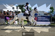 ref. photo 3599330