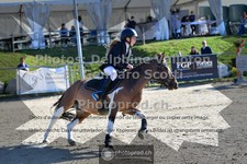 ref. photo 3599403