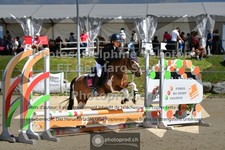 ref. photo 3599416