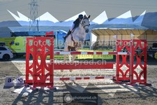 ref. photo 3599453