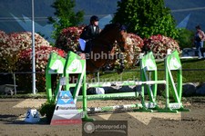 ref. photo 3599527