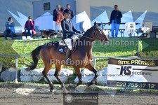 ref. photo 3599548