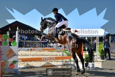 ref. photo 3599550