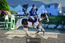 ref. photo 3599560