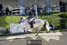 ref. photo 3599574