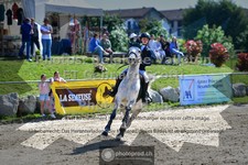 ref. photo 3599598