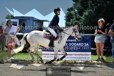 ref. photo 3599611