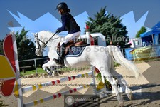 ref. photo 3599736