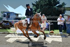 ref. photo 3599812