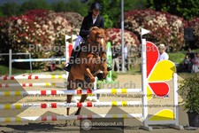 ref. photo 3599816