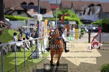 ref. photo 3599819