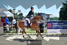 ref. photo 3599851