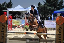 ref. photo 3599861