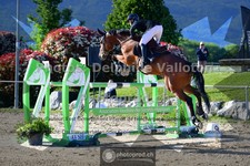 ref. photo 3599923