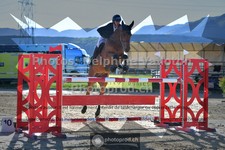 ref. photo 3599924
