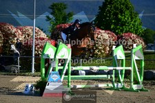 ref. photo 3599934