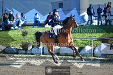 ref. photo 3599941