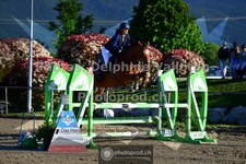 ref. photo 3599951