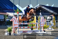 ref. photo 3599952