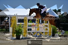 ref. photo 3599968