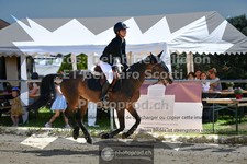 ref. photo 3599988