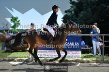 ref. photo 3599989