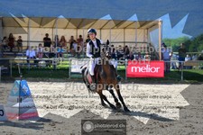 ref. photo 3599993