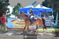 ref. photo 3600054