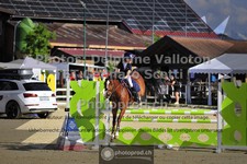 ref. photo 3600066