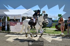 ref. photo 3600077