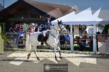 ref. photo 3600079