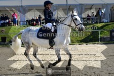 ref. photo 3600098