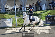ref. photo 3600101