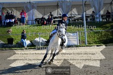 ref. photo 3600102