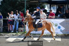 ref. photo 3600144