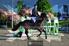 ref. photo 3600173