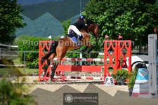 ref. photo 3600193