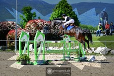 ref. photo 3600242