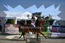 ref. photo 3600255