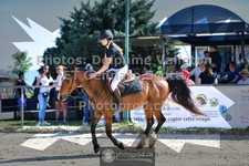 ref. photo 3600260
