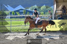 ref. photo 3600266