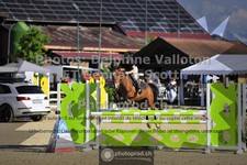 ref. photo 3600278