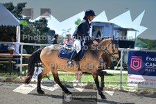ref. photo 3600291