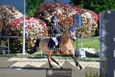 ref. photo 3600310